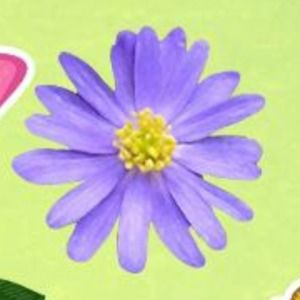 Meet your Posher, Ma